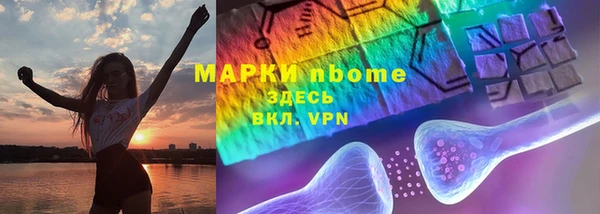 сатива Баксан