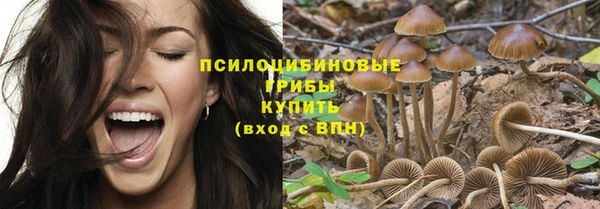 сатива Баксан
