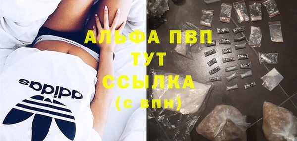 сатива Баксан